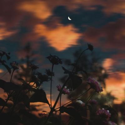 万博手机版max网页版狼队