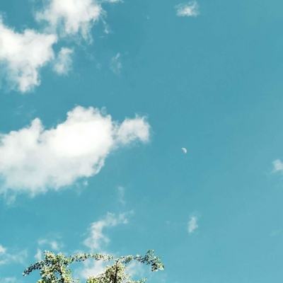 半岛综合娱乐app下载手机版